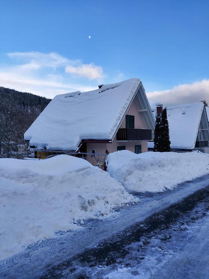 Ferienhaus Barbey St. Blasien Zewnętrze zdjęcie
