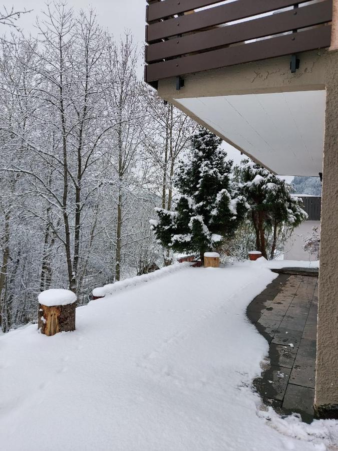 Ferienhaus Barbey St. Blasien Zewnętrze zdjęcie