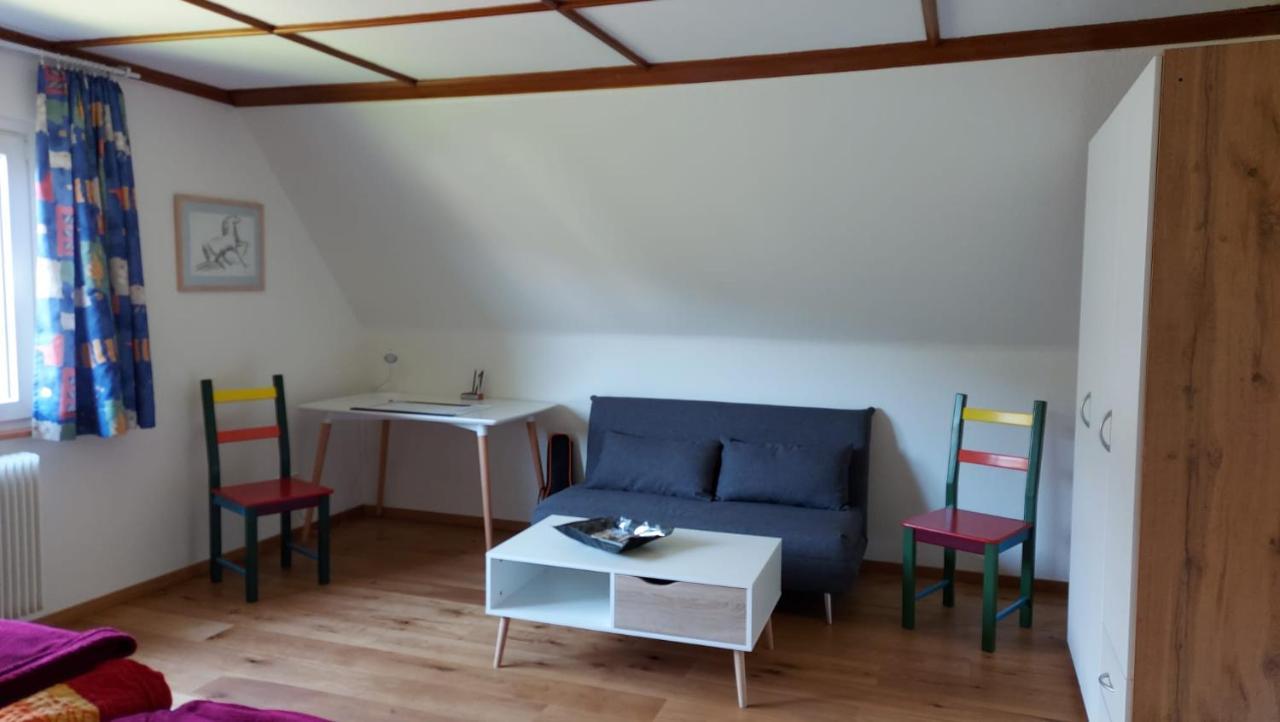 Ferienhaus Barbey St. Blasien Zewnętrze zdjęcie