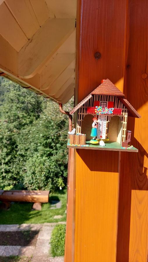 Ferienhaus Barbey St. Blasien Zewnętrze zdjęcie