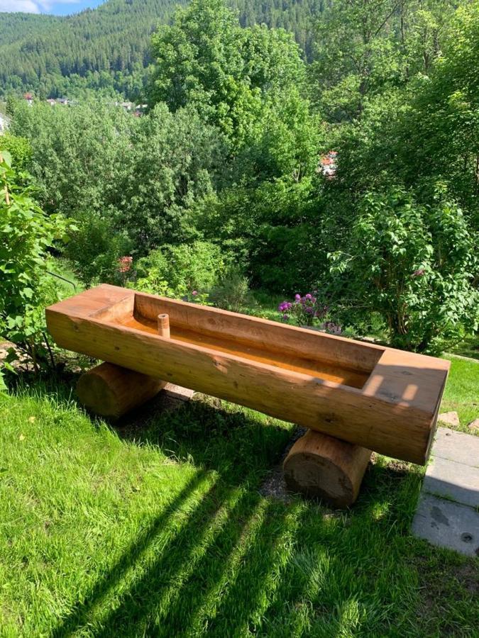 Ferienhaus Barbey St. Blasien Zewnętrze zdjęcie