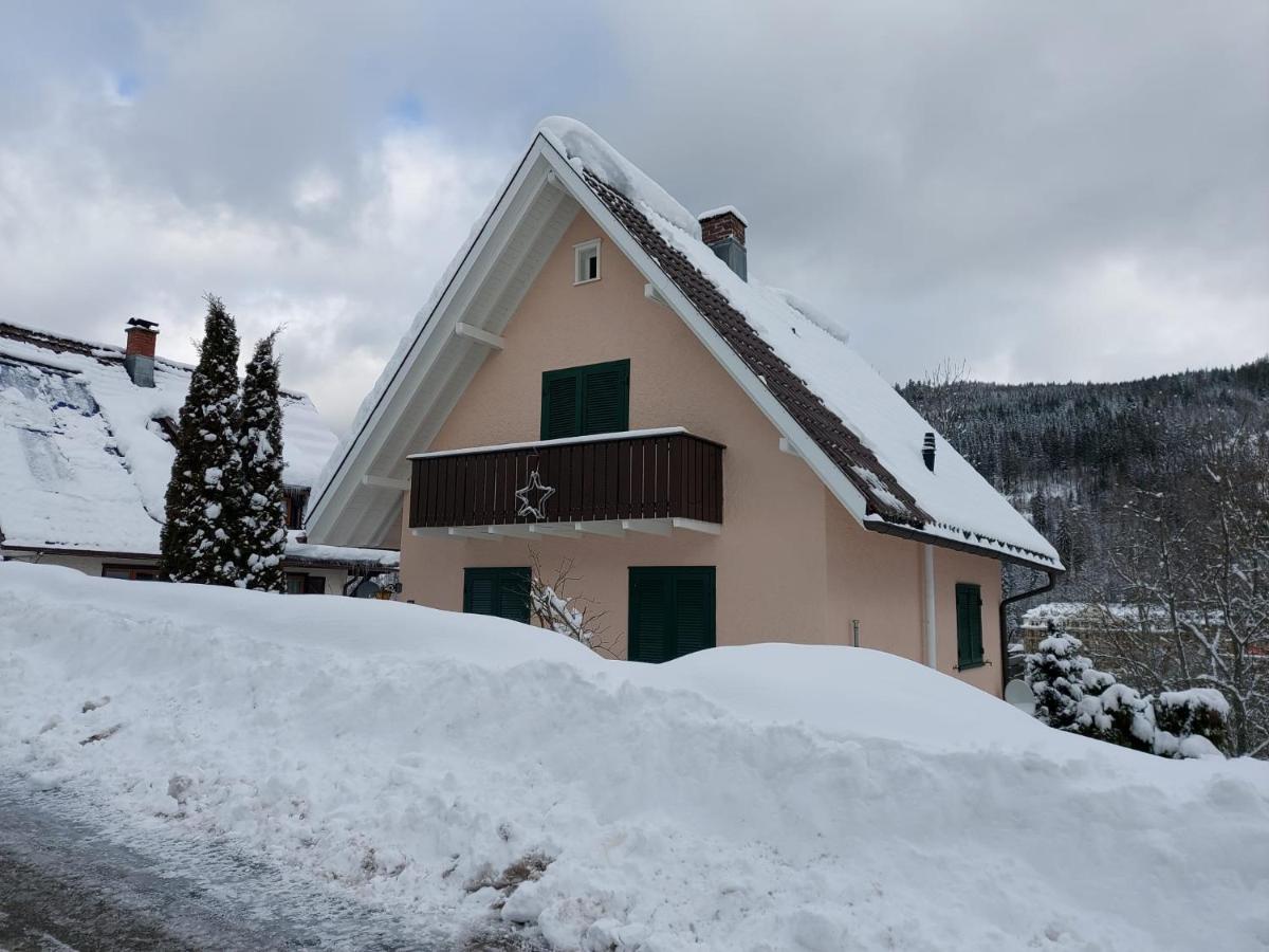 Ferienhaus Barbey St. Blasien Zewnętrze zdjęcie