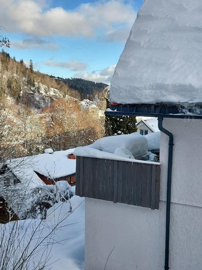 Ferienhaus Barbey St. Blasien Zewnętrze zdjęcie