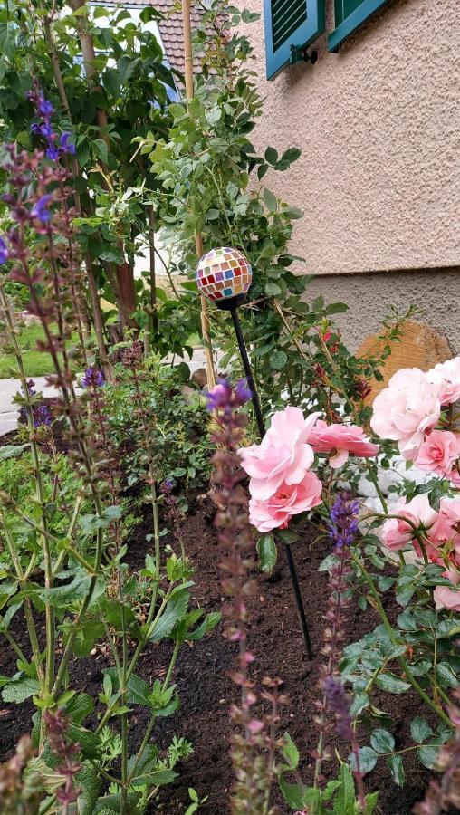 Ferienhaus Barbey St. Blasien Zewnętrze zdjęcie
