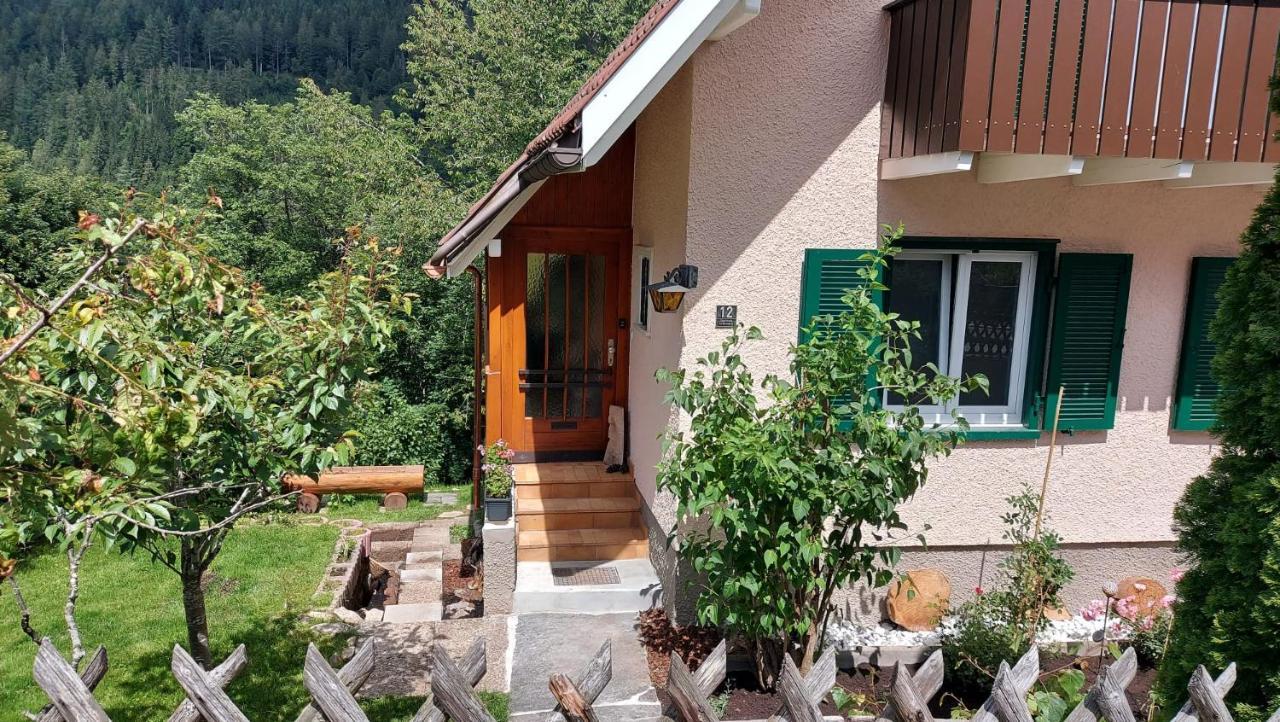 Ferienhaus Barbey St. Blasien Zewnętrze zdjęcie