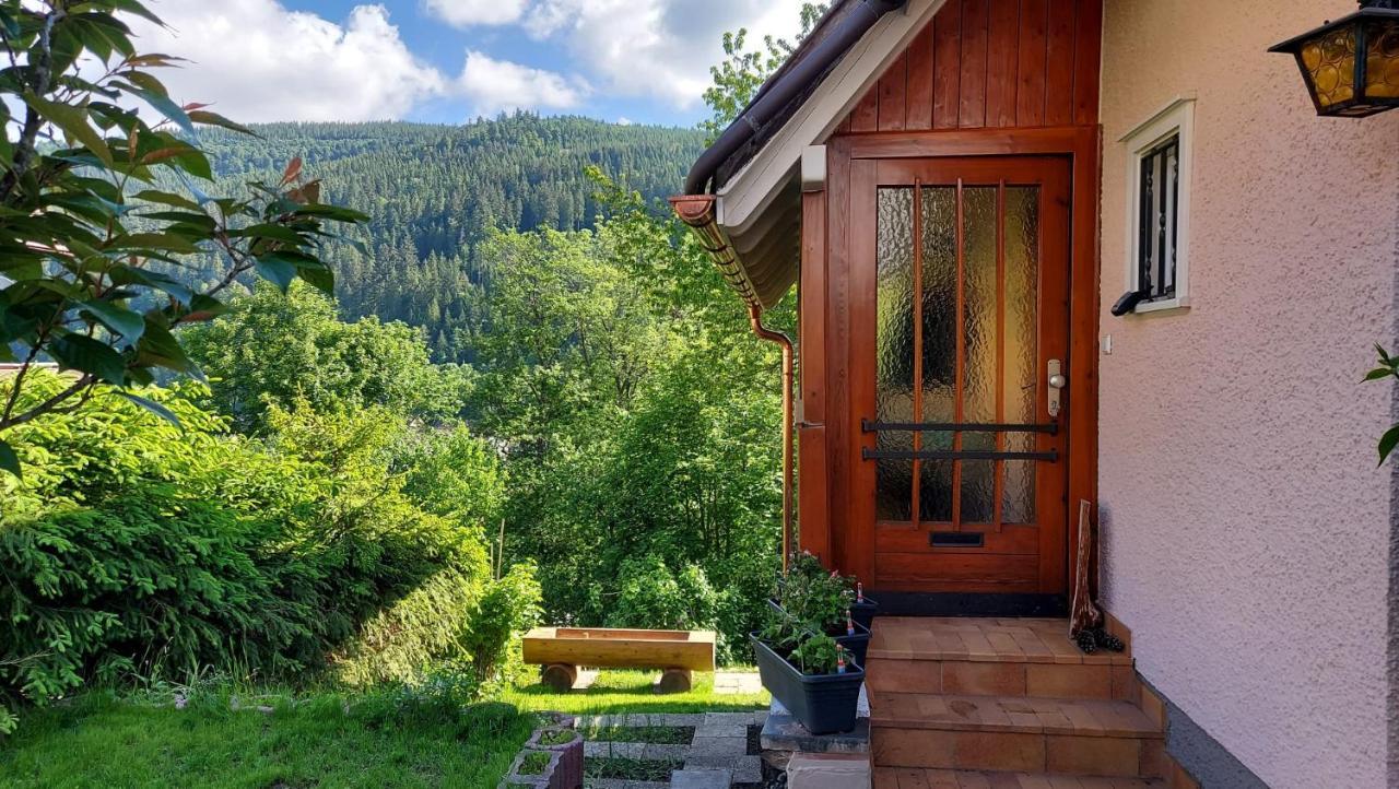 Ferienhaus Barbey St. Blasien Zewnętrze zdjęcie